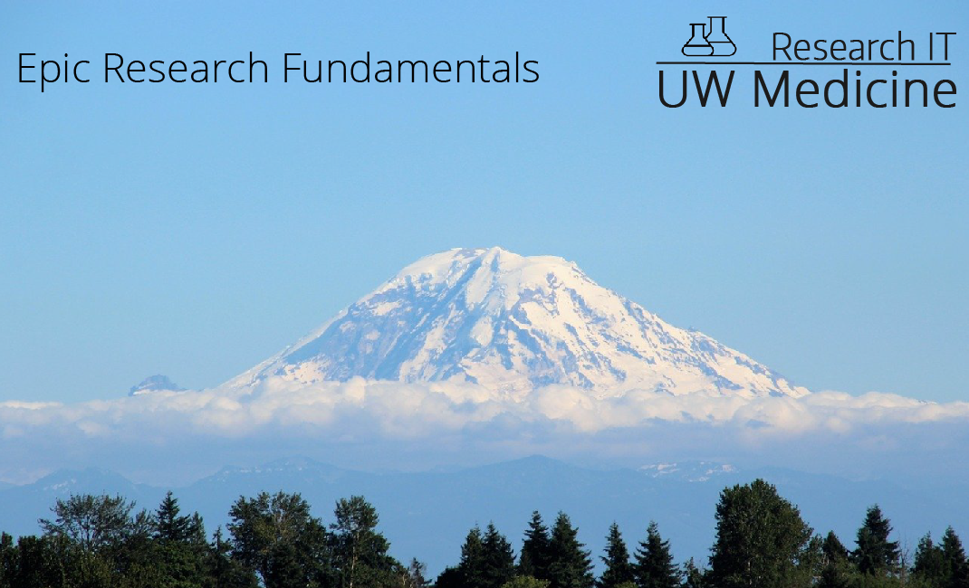 Epic Research Fundamentals - The Basics of Epic Research Workflows ERF2